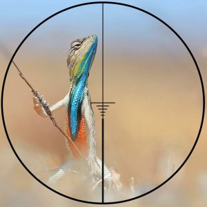 Fire Wolf 3X28 Red/Green Dot Sight - Tactical Scope Black - Airsoft - Image 4